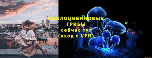 ALPHA PVP Лабытнанги