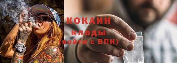 хмурый Ладушкин