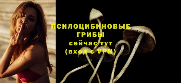 первитин Пестово