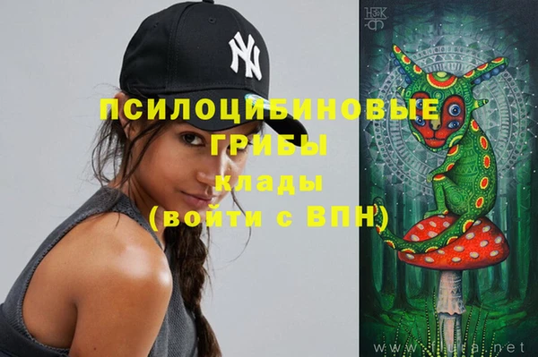 ешки Лагань