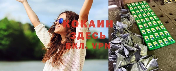 хмурый Ладушкин