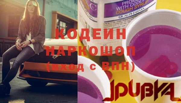 хмурый Ладушкин
