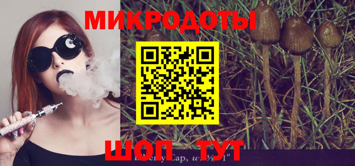 Галлюциногенные грибы MAGIC MUSHROOMS Лосино-Петровский
